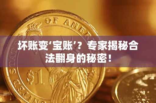 北京坏账变‘宝账’？专家揭秘合法翻身的秘密！