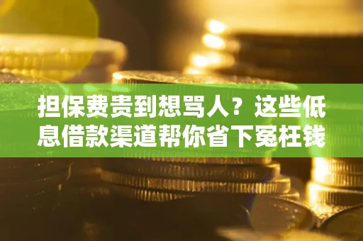北京担保费贵到想骂人？这些低息借款渠道帮你省下冤枉钱