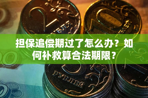 北京担保追偿期过了怎么办？如何补救算合法期限？