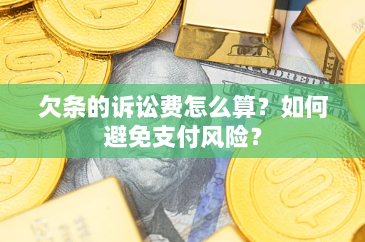 北京欠条的诉讼费怎么算？如何避免支付风险？